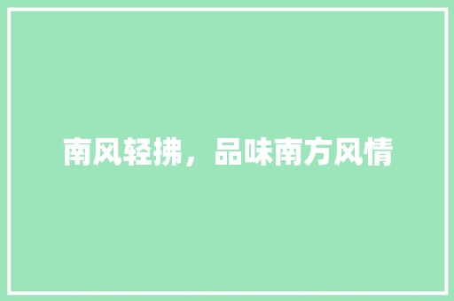 南风轻拂，品味南方风情