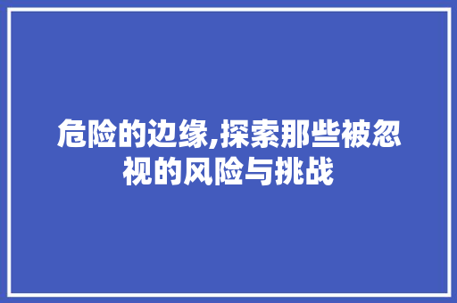 危险的边缘,探索那些被忽视的风险与挑战