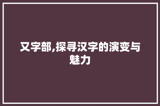 又字部,探寻汉字的演变与魅力