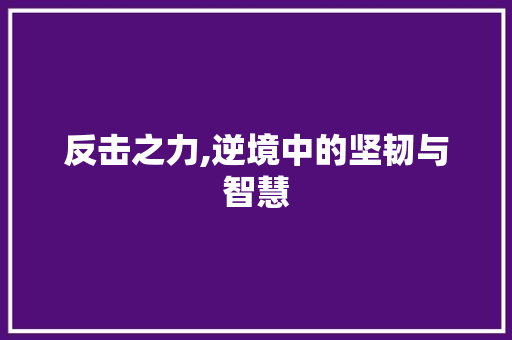 反击之力,逆境中的坚韧与智慧