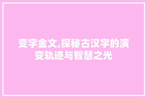 变字金文,探秘古汉字的演变轨迹与智慧之光