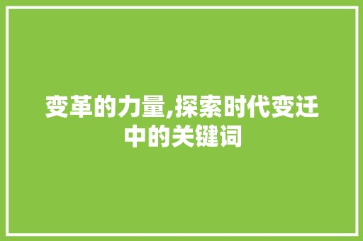 变革的力量,探索时代变迁中的关键词