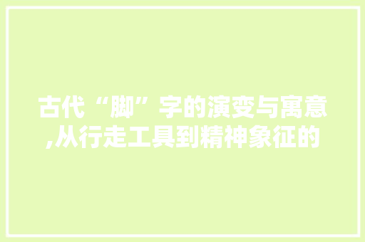 古代“脚”字的演变与寓意,从行走工具到精神象征的跨越 会议纪要