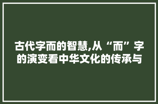 古代字而的智慧,从“而”字的演变看中华文化的传承与发展