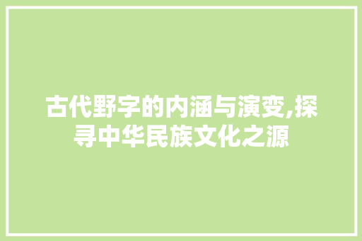 古代野字的内涵与演变,探寻中华民族文化之源