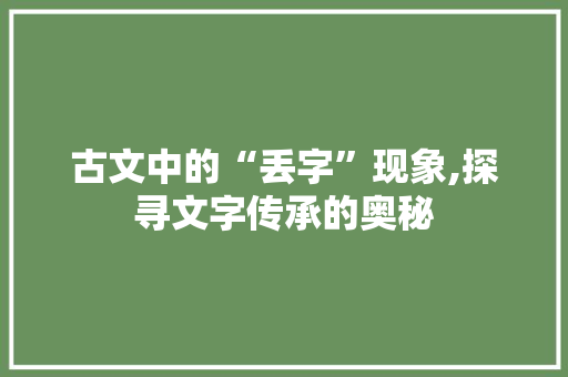 古文中的“丢字”现象,探寻文字传承的奥秘 工作总结