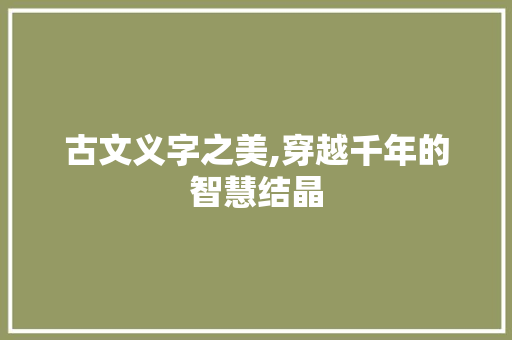 古文义字之美,穿越千年的智慧结晶