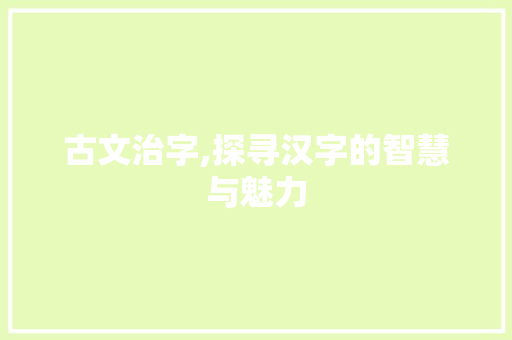 古文治字,探寻汉字的智慧与魅力 项目报告