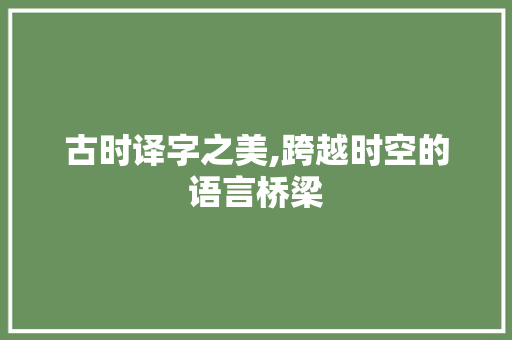 古时译字之美,跨越时空的语言桥梁