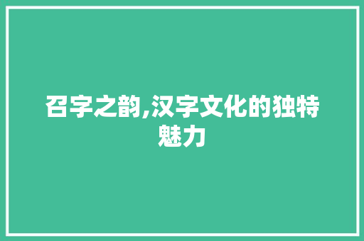 召字之韵,汉字文化的独特魅力 项目报告
