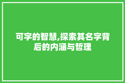 可字的智慧,探索其名字背后的内涵与哲理