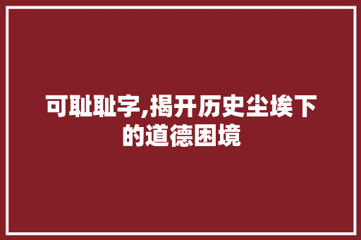 可耻耻字,揭开历史尘埃下的道德困境