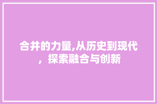 合并的力量,从历史到现代，探索融合与创新