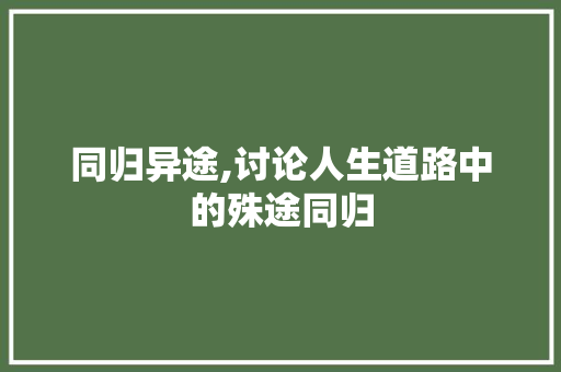 同归异途,讨论人生道路中的殊途同归