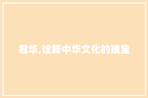 君华,诠释中华文化的瑰宝 会议纪要