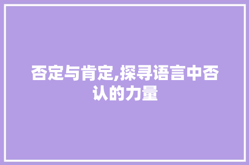 否定与肯定,探寻语言中否认的力量