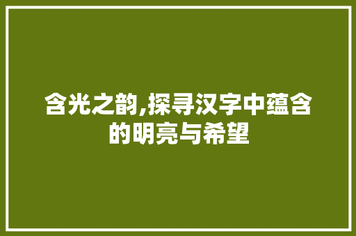 含光之韵,探寻汉字中蕴含的明亮与希望