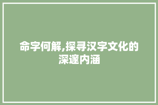 命字何解,探寻汉字文化的深邃内涵