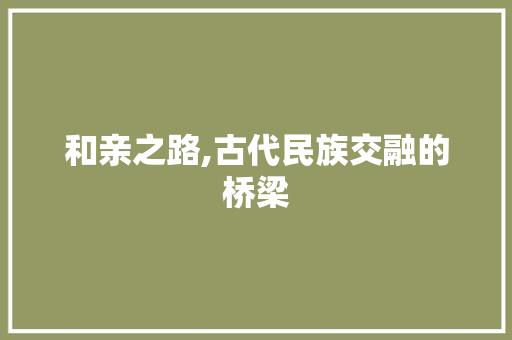 和亲之路,古代民族交融的桥梁 会议纪要