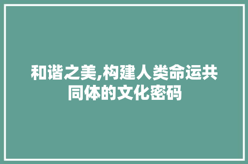 和谐之美,构建人类命运共同体的文化密码