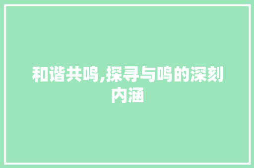 和谐共鸣,探寻与鸣的深刻内涵 职场写作