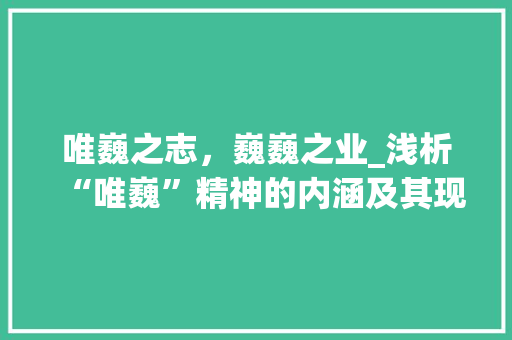 唯巍之志，巍巍之业_浅析“唯巍”精神的内涵及其现实意义