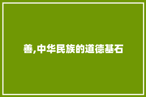 善,中华民族的道德基石