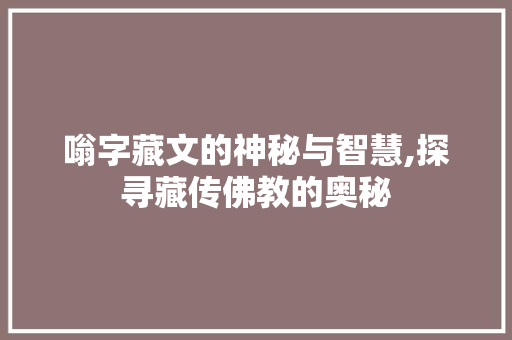 嗡字藏文的神秘与智慧,探寻藏传佛教的奥秘