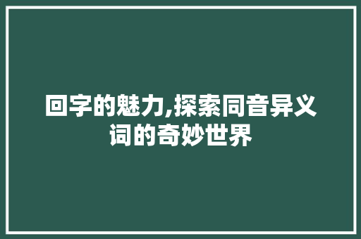 回字的魅力,探索同音异义词的奇妙世界