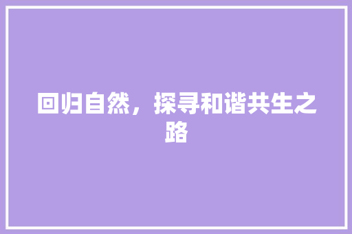 回归自然，探寻和谐共生之路
