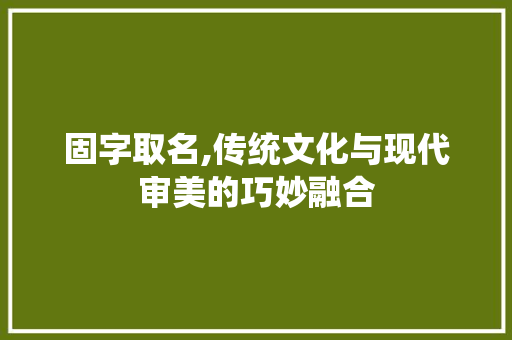 固字取名,传统文化与现代审美的巧妙融合