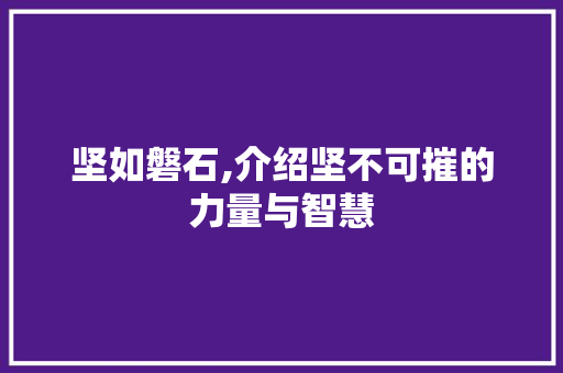 坚如磐石,介绍坚不可摧的力量与智慧
