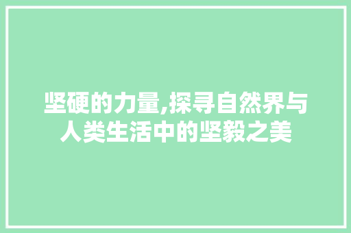 坚硬的力量,探寻自然界与人类生活中的坚毅之美