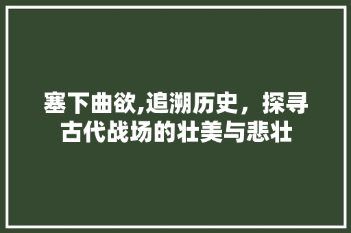 塞下曲欲,追溯历史，探寻古代战场的壮美与悲壮