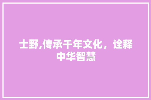 士野,传承千年文化，诠释中华智慧