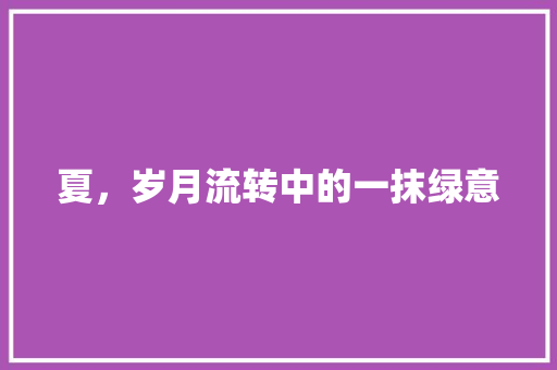 夏，岁月流转中的一抹绿意