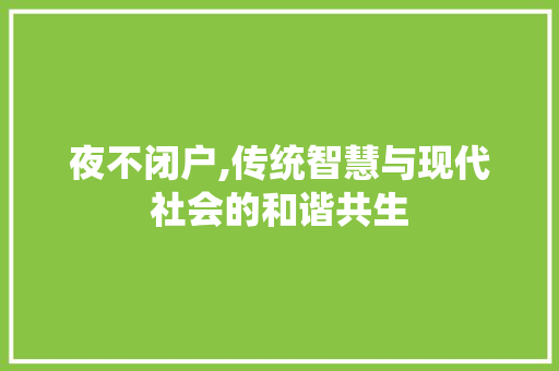 夜不闭户,传统智慧与现代社会的和谐共生