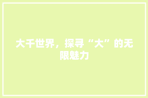 大千世界，探寻“大”的无限魅力