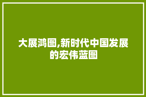 大展鸿图,新时代中国发展的宏伟蓝图