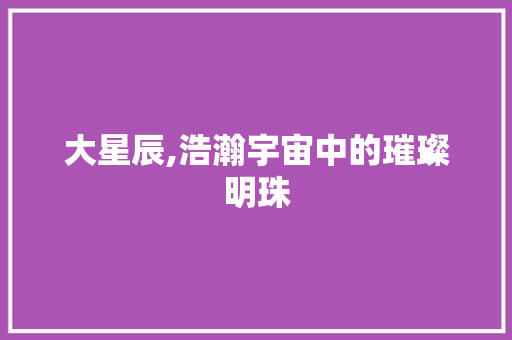 大星辰,浩瀚宇宙中的璀璨明珠