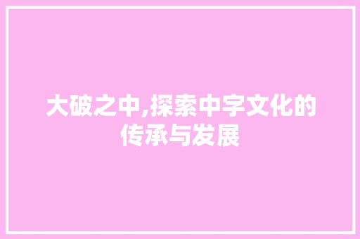 大破之中,探索中字文化的传承与发展