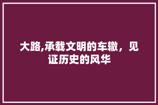 大路,承载文明的车辙，见证历史的风华
