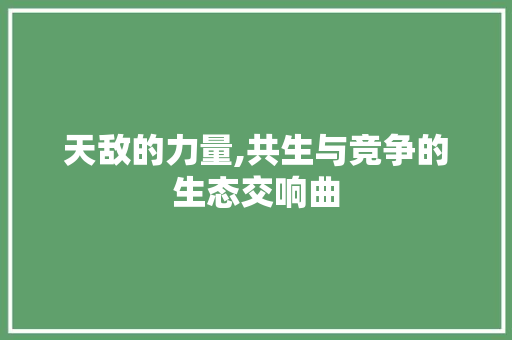 天敌的力量,共生与竞争的生态交响曲