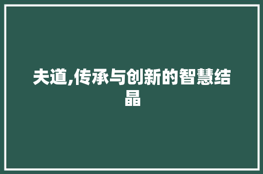 夫道,传承与创新的智慧结晶