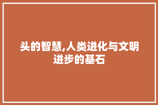 头的智慧,人类进化与文明进步的基石