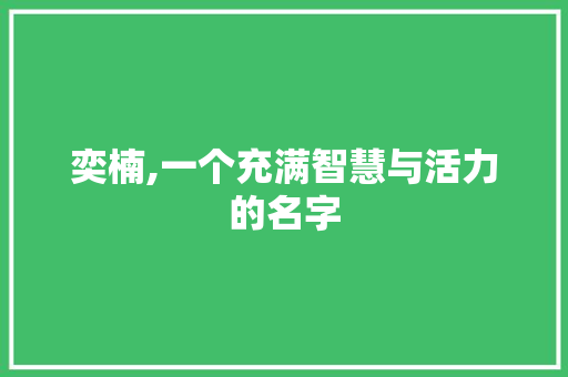 奕楠,一个充满智慧与活力的名字