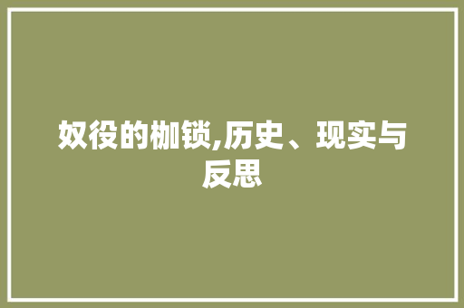 奴役的枷锁,历史、现实与反思