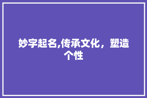 妙字起名,传承文化，塑造个性