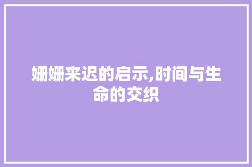 姗姗来迟的启示,时间与生命的交织
