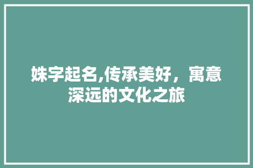 姝字起名,传承美好，寓意深远的文化之旅 职场写作